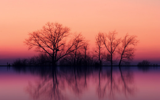 455398 (a): :1920x1200